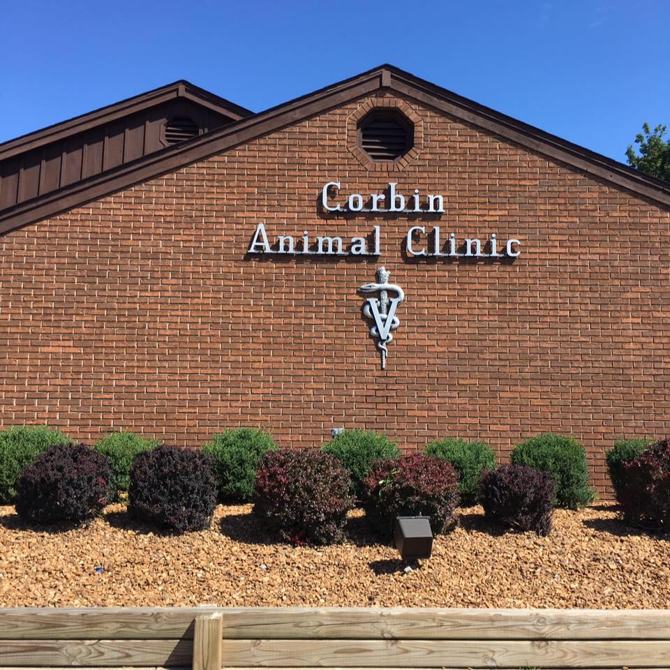 Corbin Animal Clinic