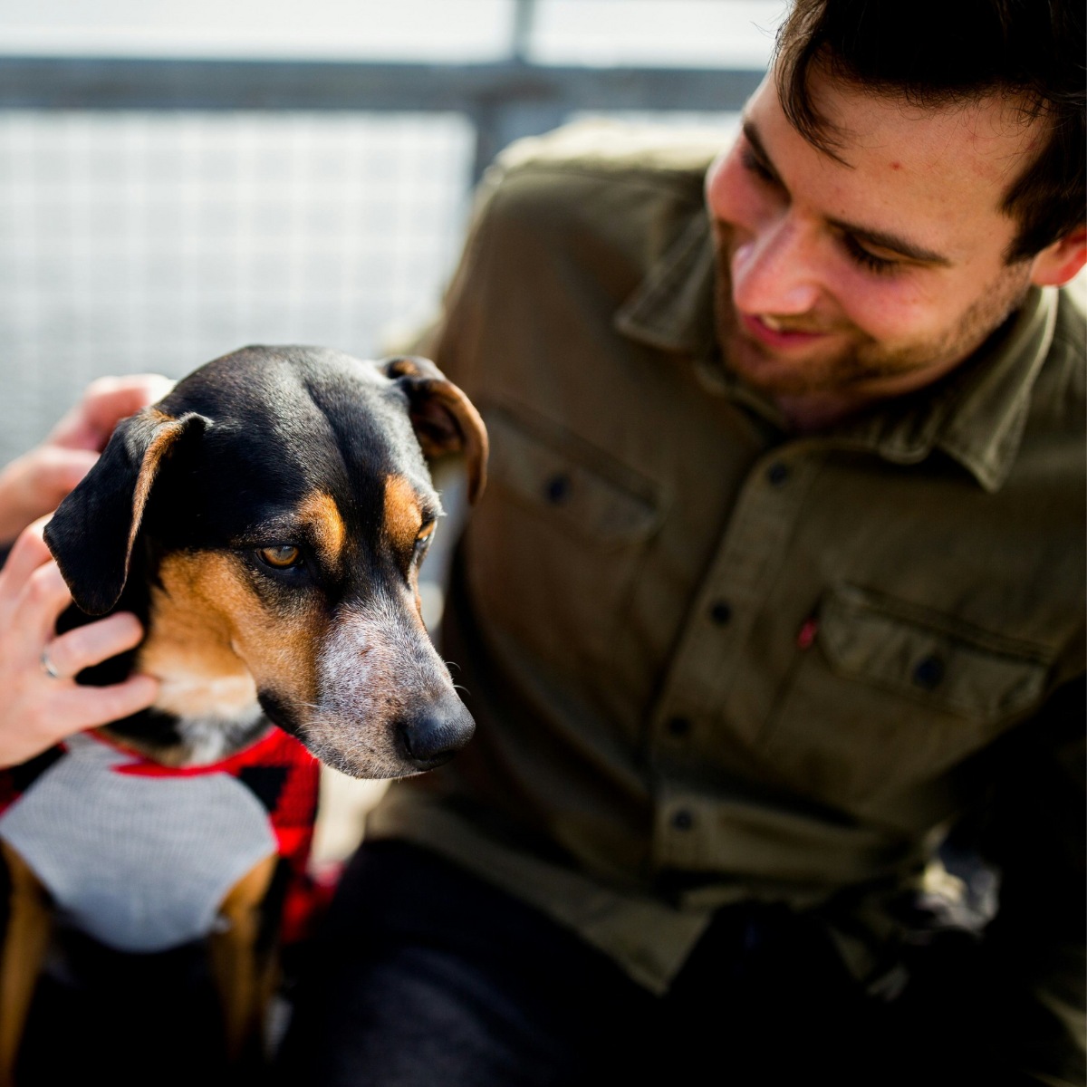 A dog sitting with its owner
