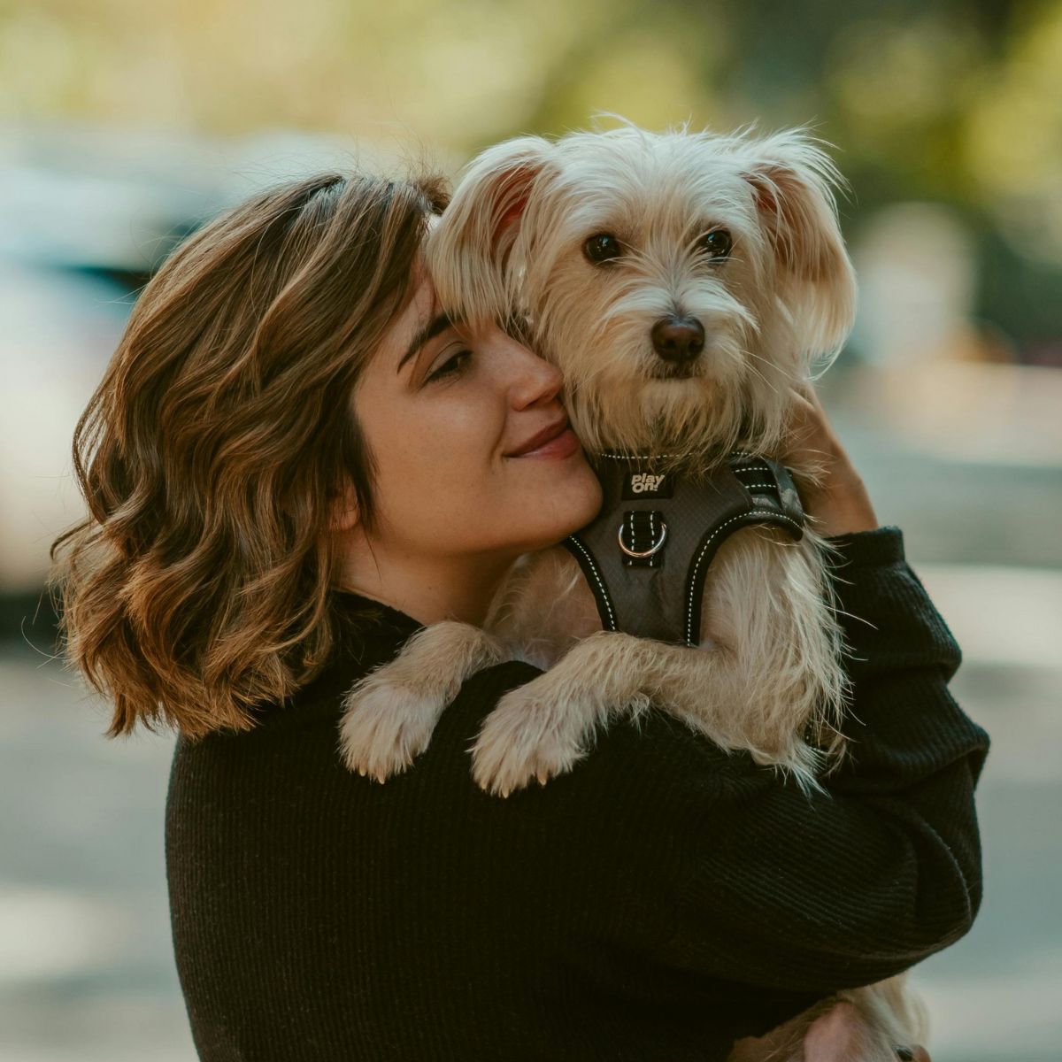 A lady holding a dog