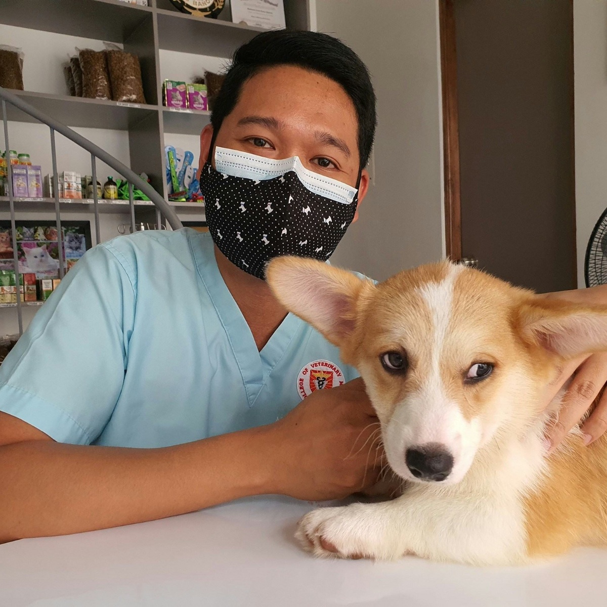 man in a mask holds a dog
