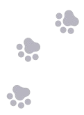 paw prints