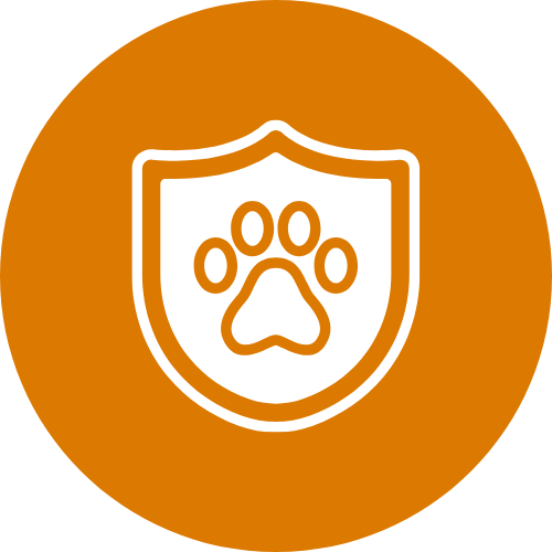 vaccinations icon